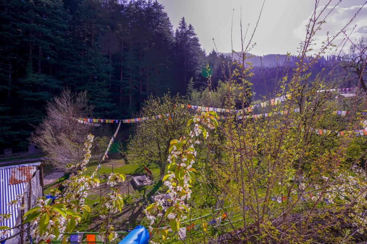 Rama'S Green Forest Manāli Екстериор снимка